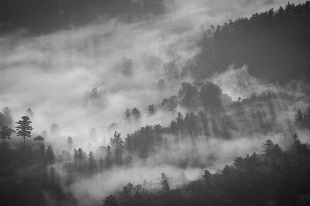 Asperiores illo sed magni aut qui libero excepturi